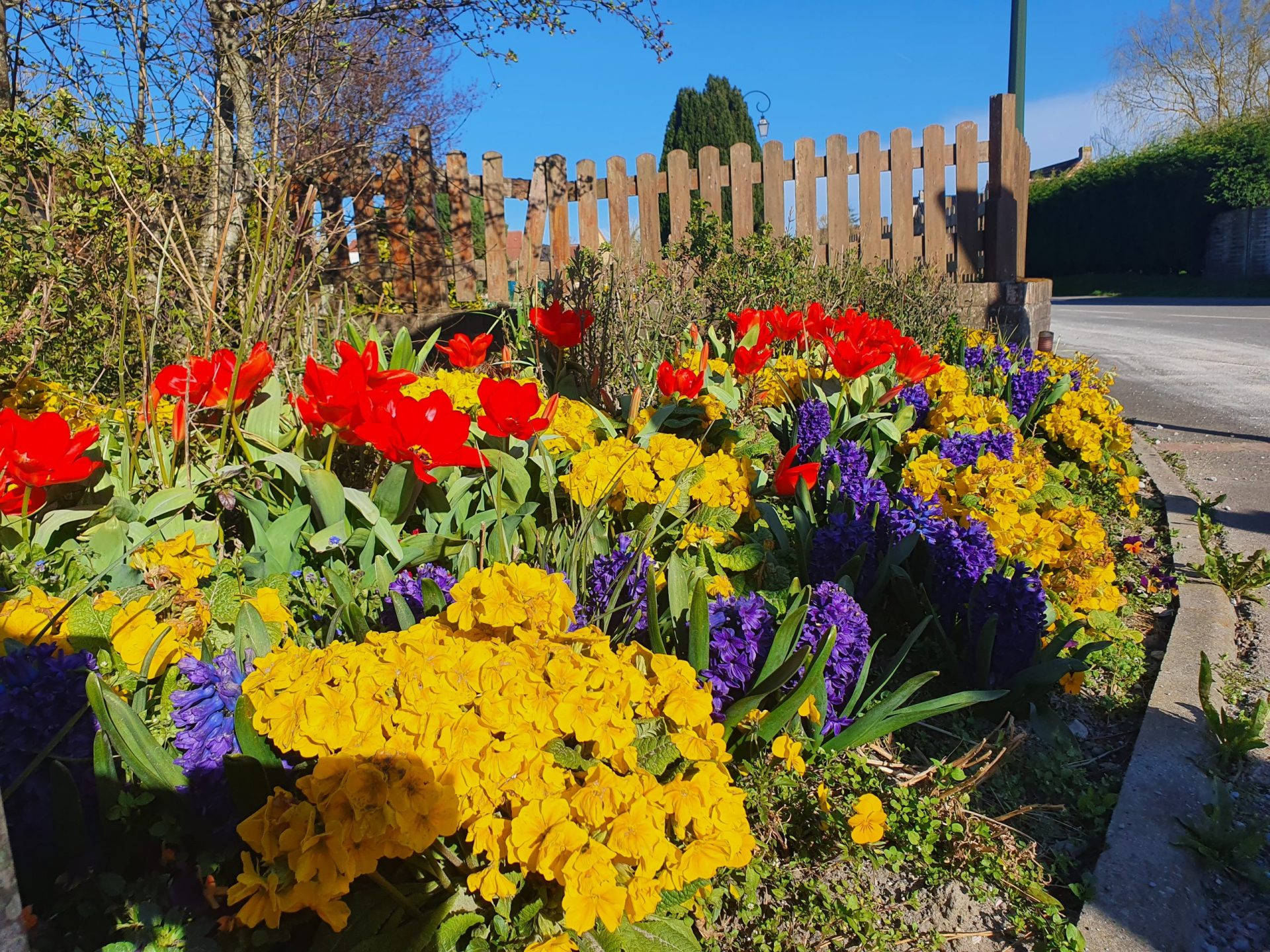 FLEURS 2