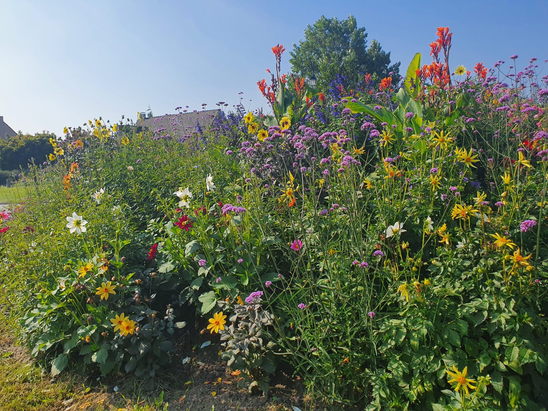 FLEURS
