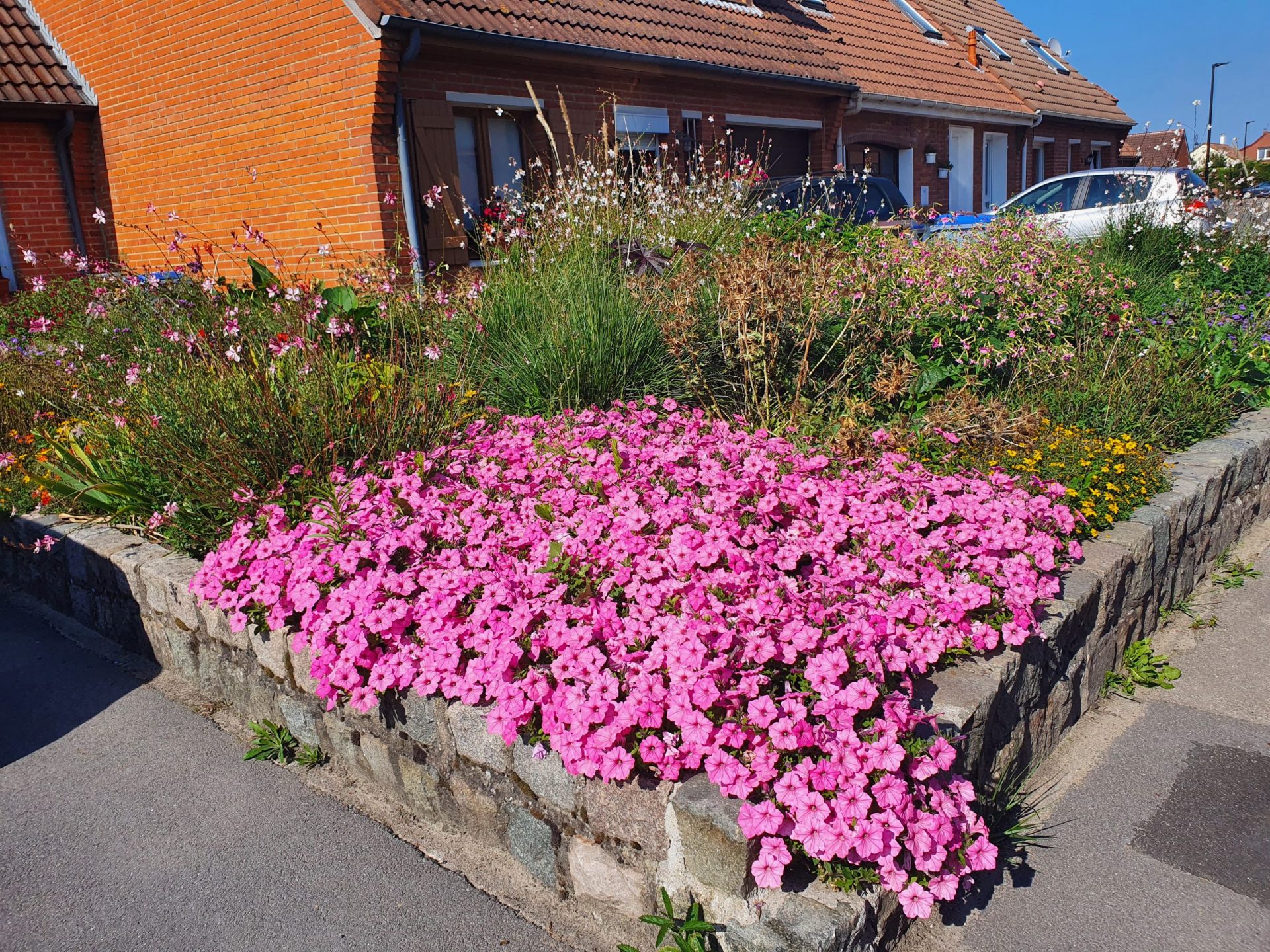 MASSIF FLEURI
