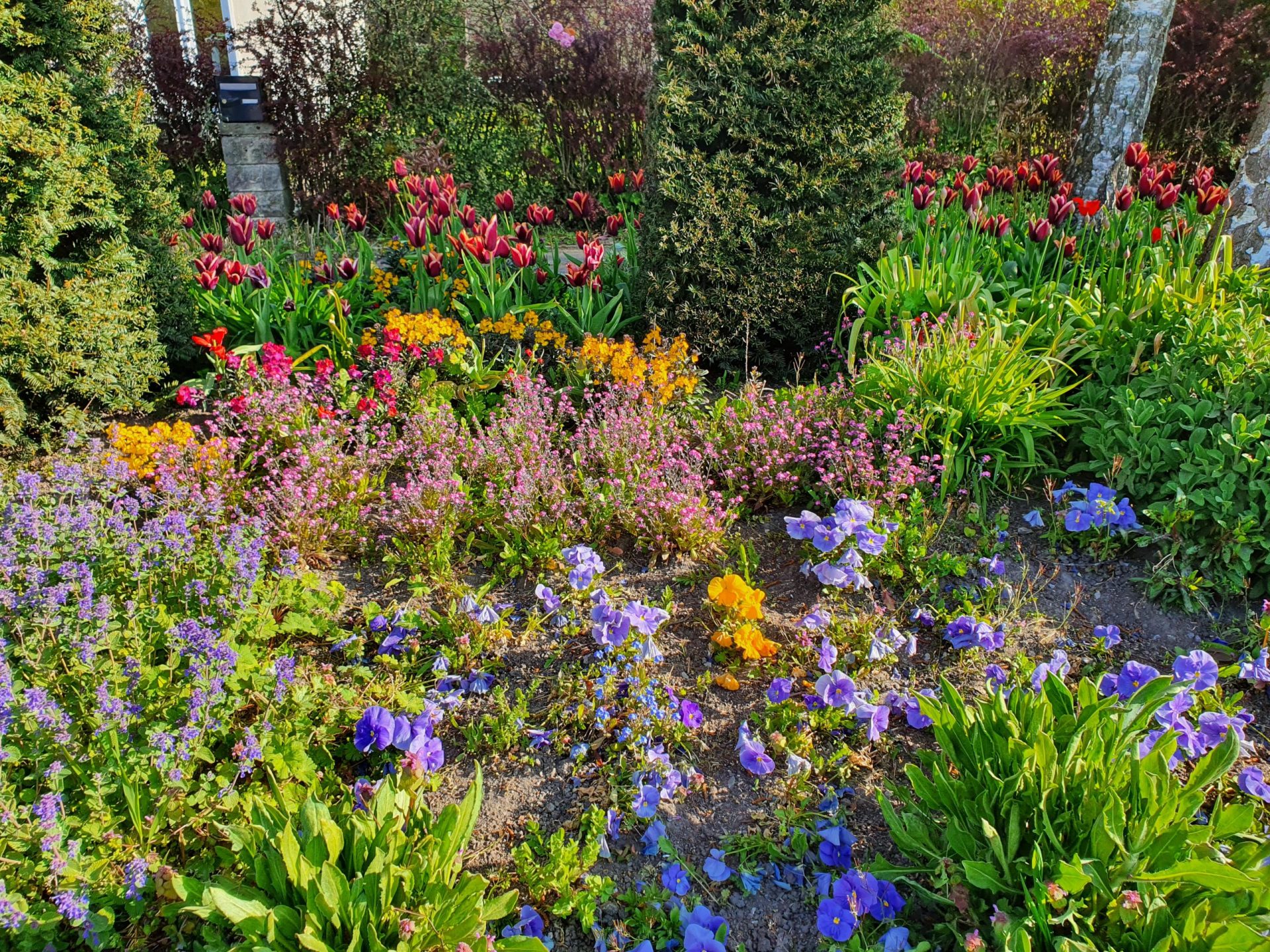 MASSIF FLEURS HIVER