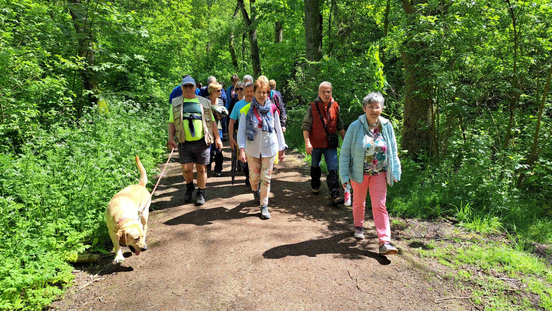  Rando du bois des forts