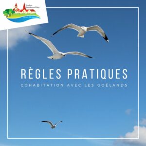 Lire la suite à propos de l’article 𝐑𝐞̀𝐠𝐥𝐞𝐬 𝐩𝐫𝐚𝐭𝐢𝐪𝐮𝐞𝐬 – 𝐂𝐨𝐡𝐚𝐛𝐢𝐭𝐚𝐭𝐢𝐨𝐧 𝐚𝐯𝐞𝐜 𝐥𝐞𝐬 𝐠𝐨𝐞́𝐥𝐚𝐧𝐝𝐬