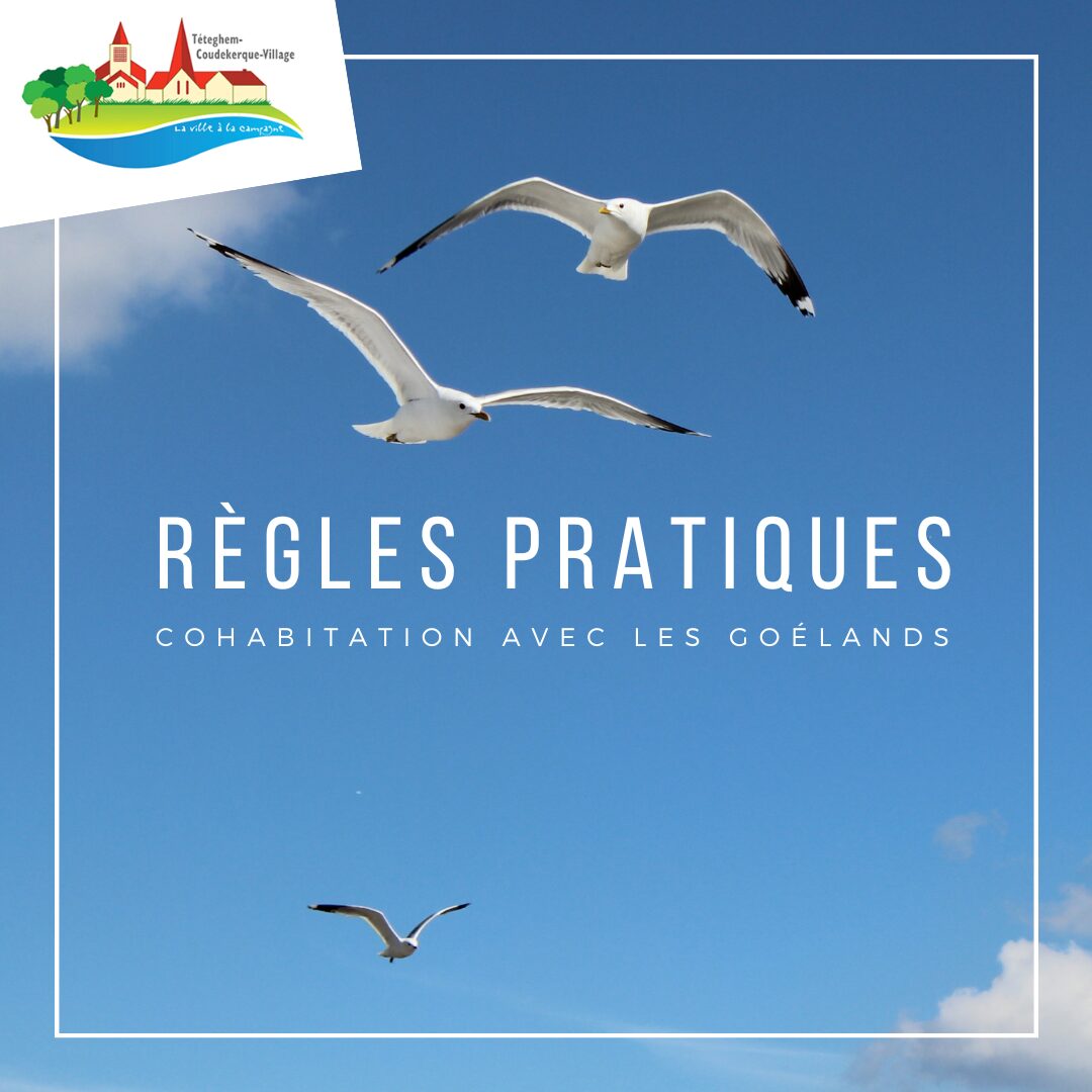 Lire la suite à propos de l’article 𝐑𝐞̀𝐠𝐥𝐞𝐬 𝐩𝐫𝐚𝐭𝐢𝐪𝐮𝐞𝐬 – 𝐂𝐨𝐡𝐚𝐛𝐢𝐭𝐚𝐭𝐢𝐨𝐧 𝐚𝐯𝐞𝐜 𝐥𝐞𝐬 𝐠𝐨𝐞́𝐥𝐚𝐧𝐝𝐬